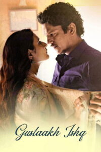 Gustaakh Ishq (2025) Hindi HD Hotstar